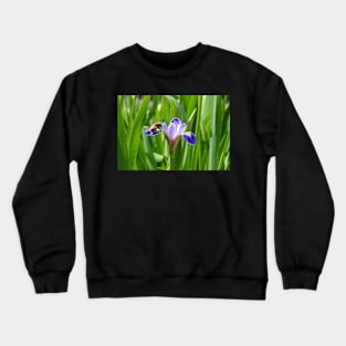 Nectar's in here somewhere Crewneck Sweatshirt